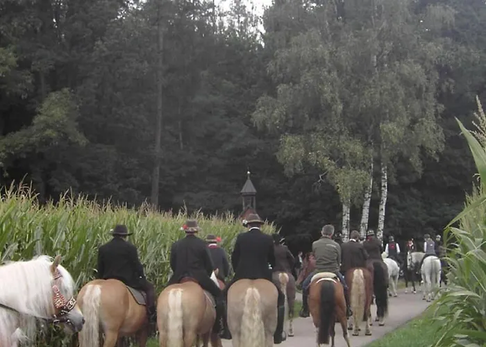 Huglbauer Waldmünchen